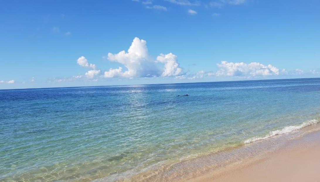 Appartement Paradisiaque Entre Hammamet Et Nabeul Luaran gambar